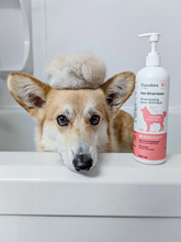 PURODORA Pet Deshedding Shampoo